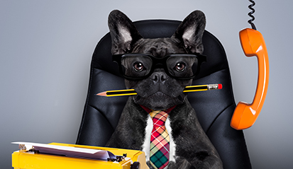 process-single-img-6 v